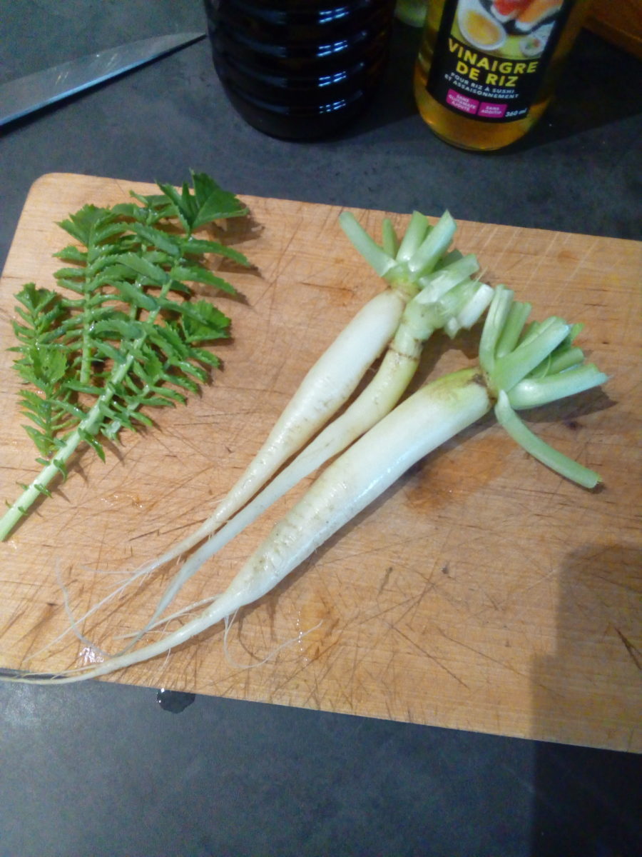 Radis Daïkon façon Japonaise Fanes de cuisine saine gourmandise